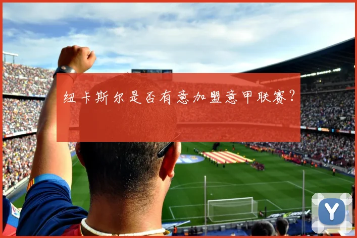 纽卡斯尔是否有意加盟意甲联赛？