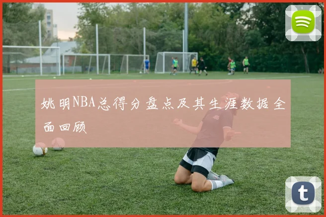 姚明NBA总得分盘点及其生涯数据全面回顾