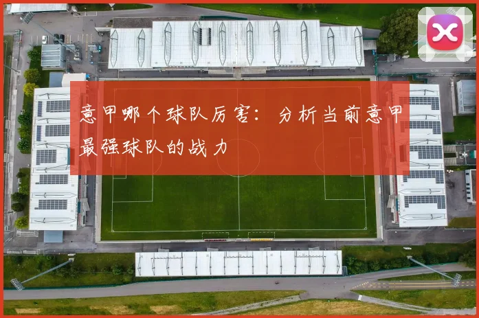 意甲哪个球队厉害：分析当前意甲最强球队的战力